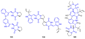 Figure 25