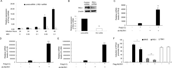 FIG 3