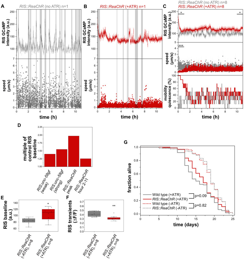 Fig 10