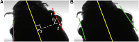 FIG. 2.