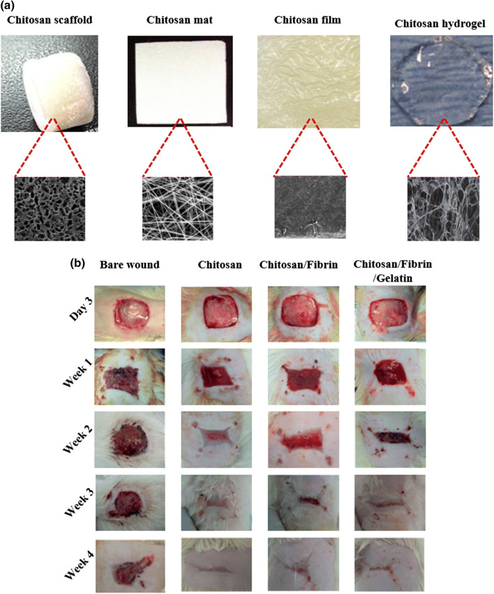 Fig. 3