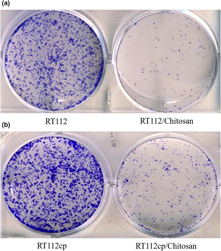 Fig. 4