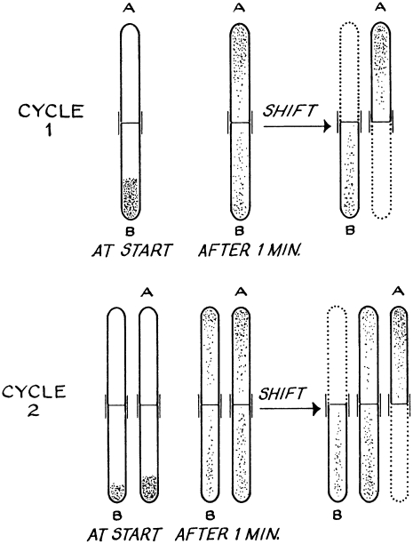 Figure 4.—