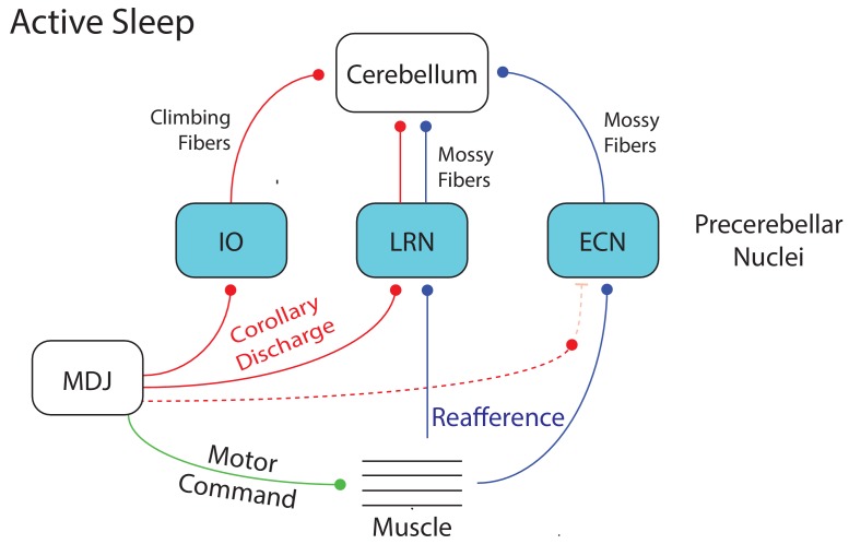 Figure 7.