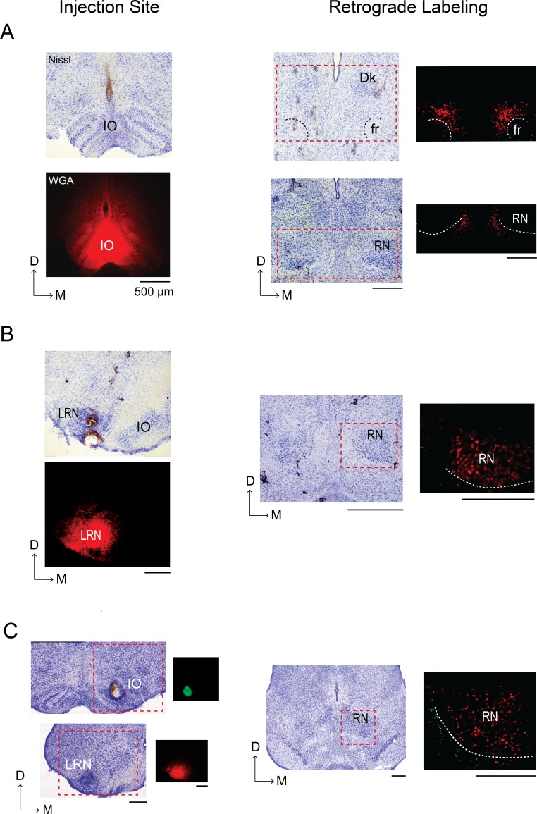 Figure 4.