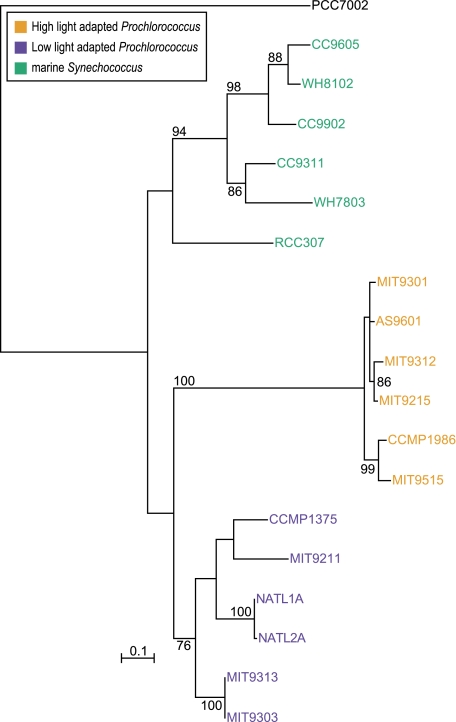 FIG. 8.—