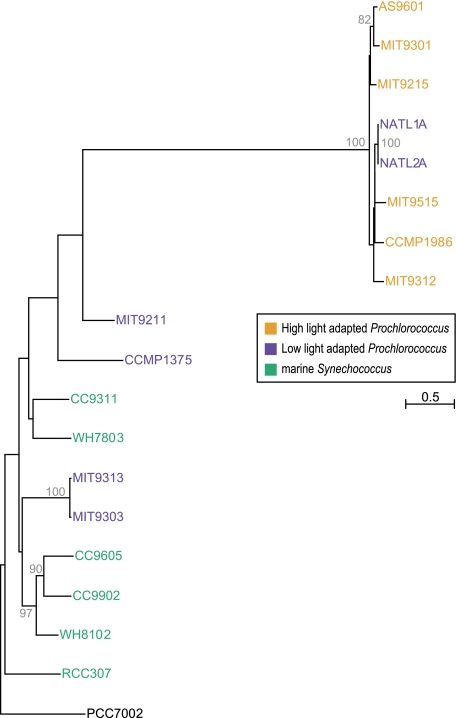 FIG. 7.—