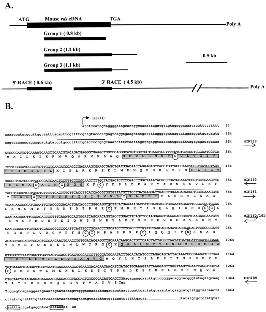 FIGURE 3