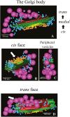 Fig. 4.