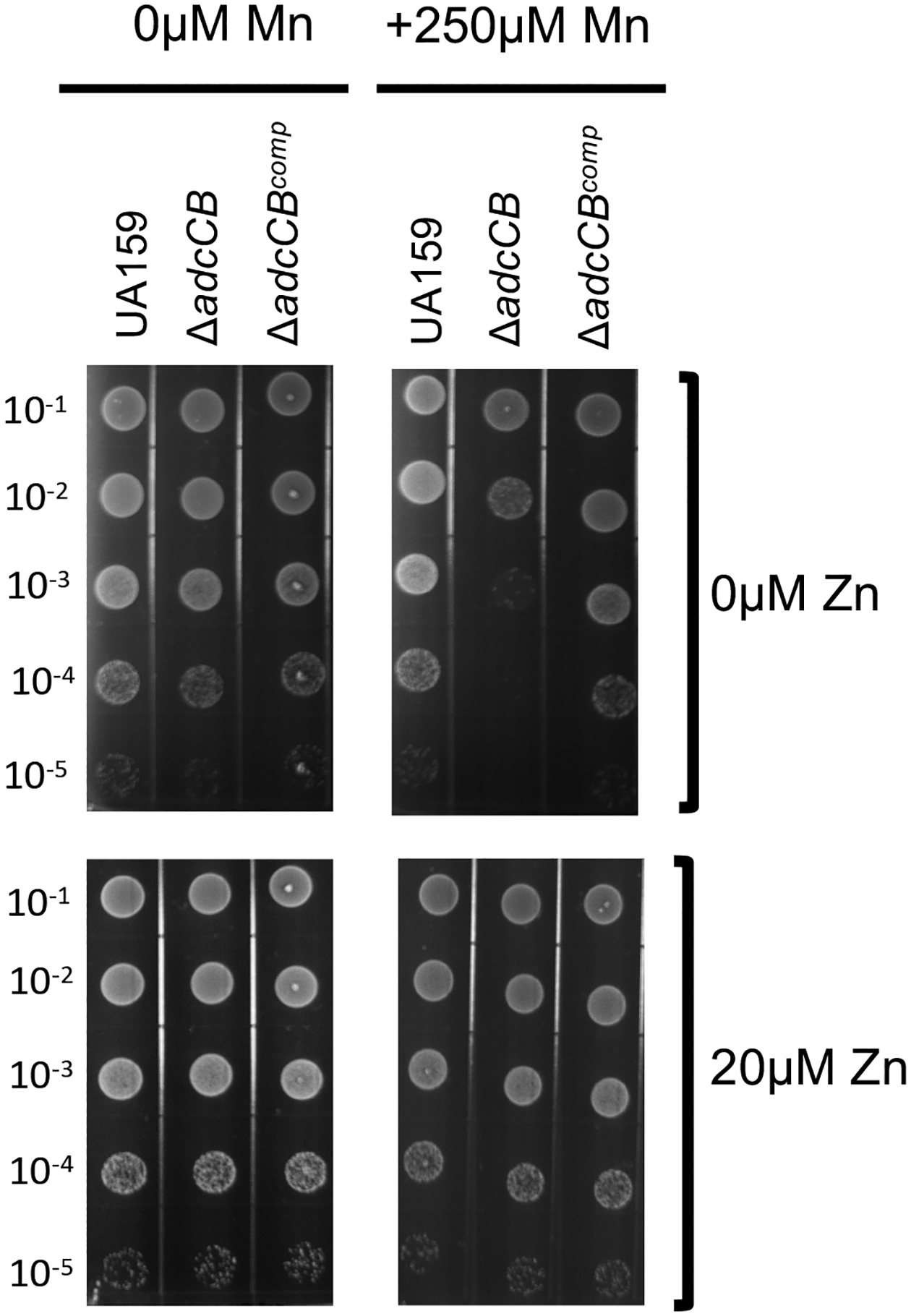 Figure 5.