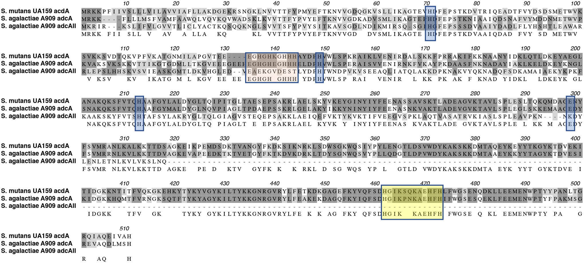 Figure 2.