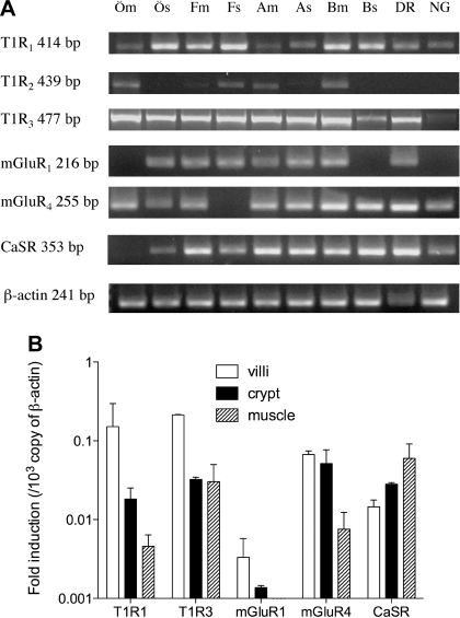 Fig. 4.