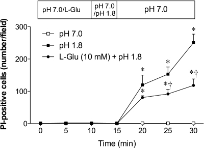 Fig. 9.