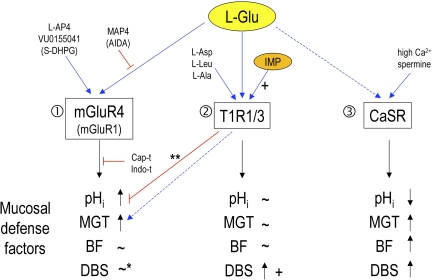 Fig. 10.