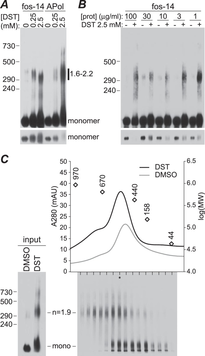 FIGURE 5.