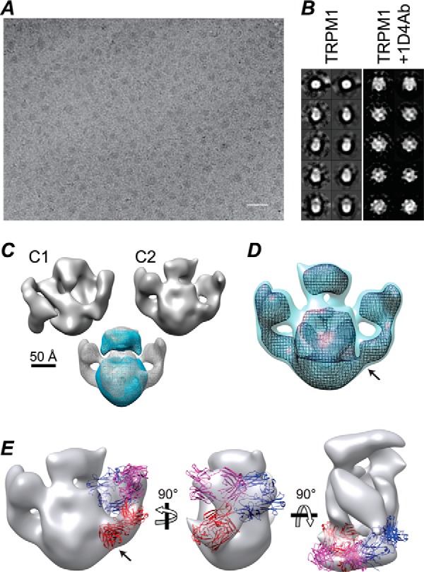 FIGURE 7.