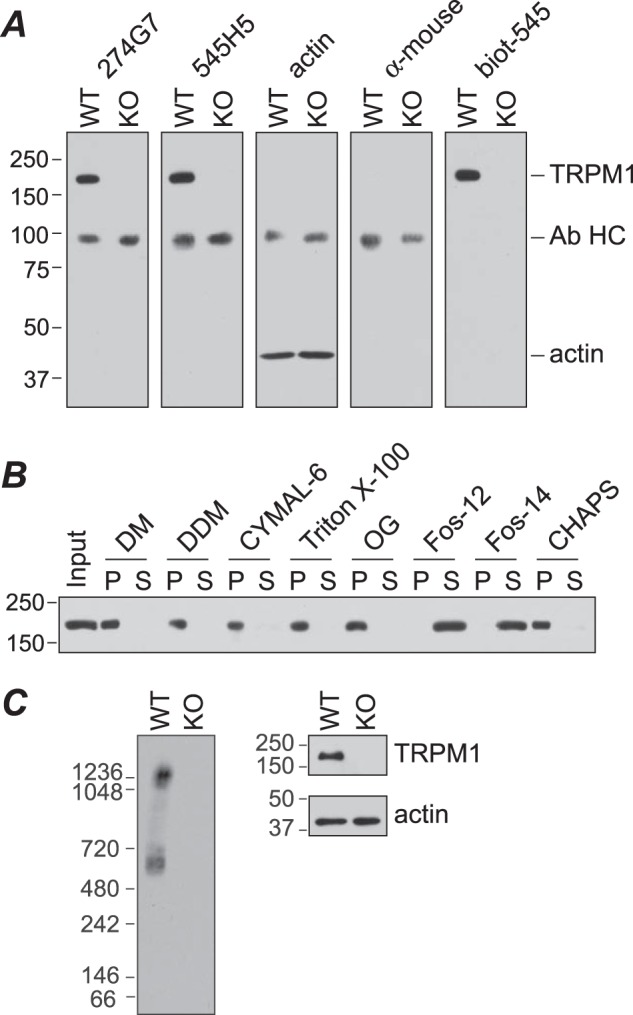 FIGURE 9.