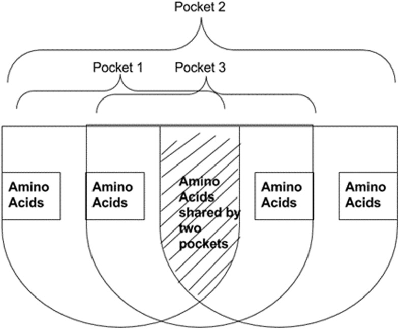 Fig. 5