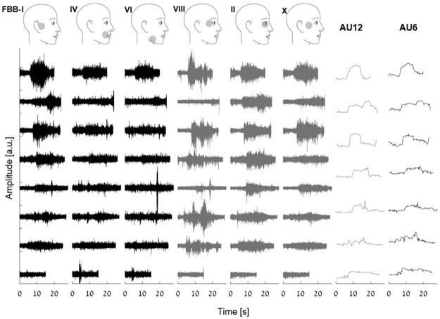 Fig 6