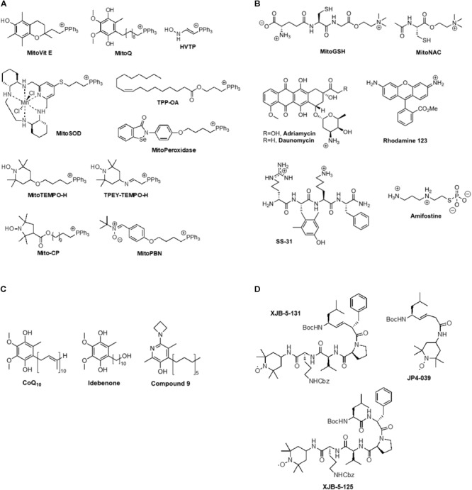 FIGURE 2