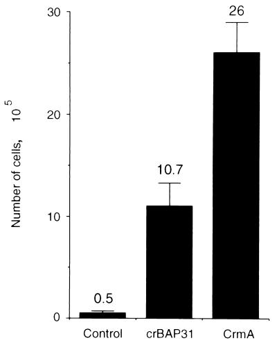 FIG. 7