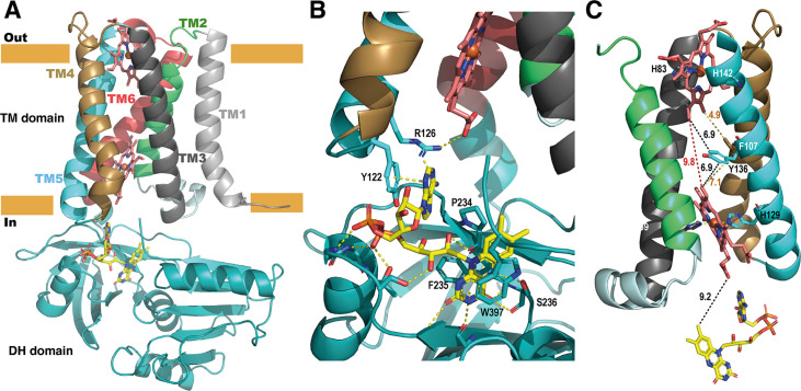 Figure 6.