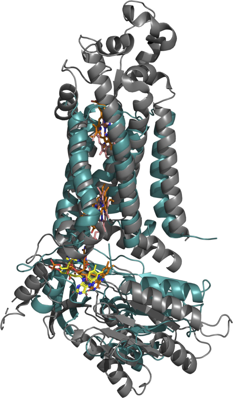 Figure 9—figure supplement 2.