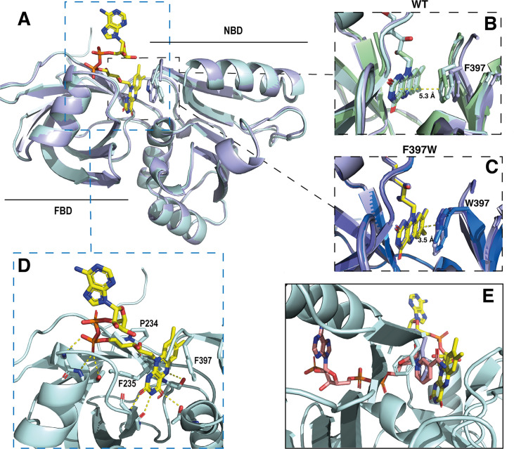 Figure 5.