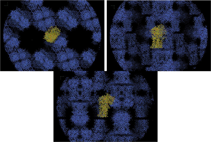 Figure 6—figure supplement 1.