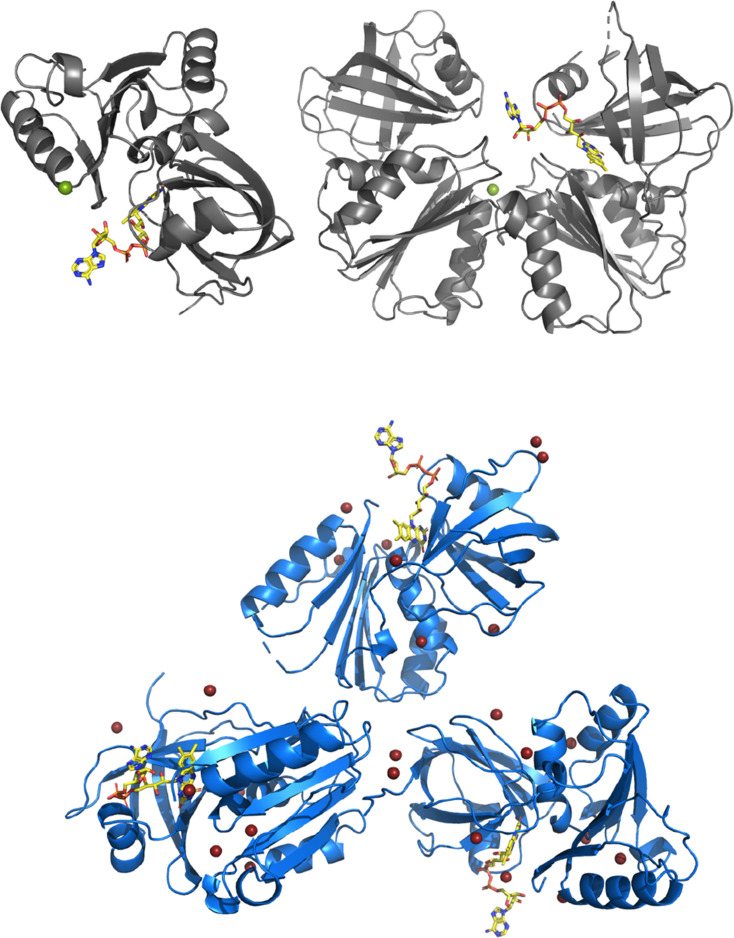 Figure 5—figure supplement 2.