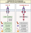 Graphical Abstract
