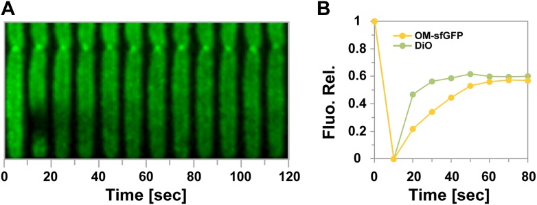 Figure 4—figure supplement 2.