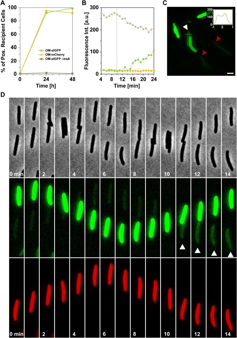 Figure 2—figure supplement 1.