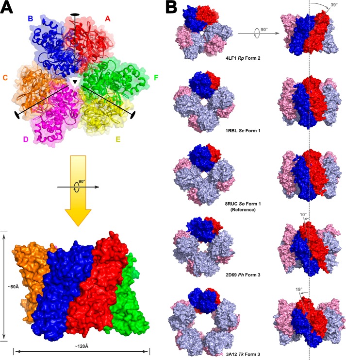 FIGURE 1.