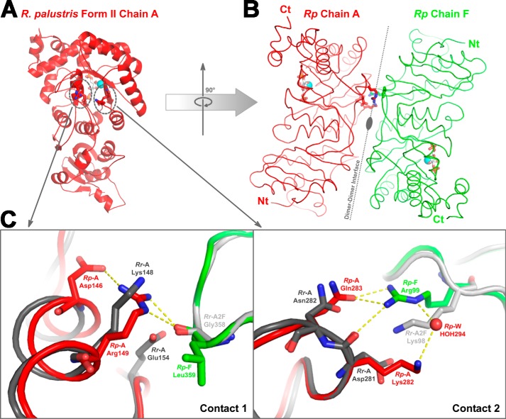 FIGURE 10.