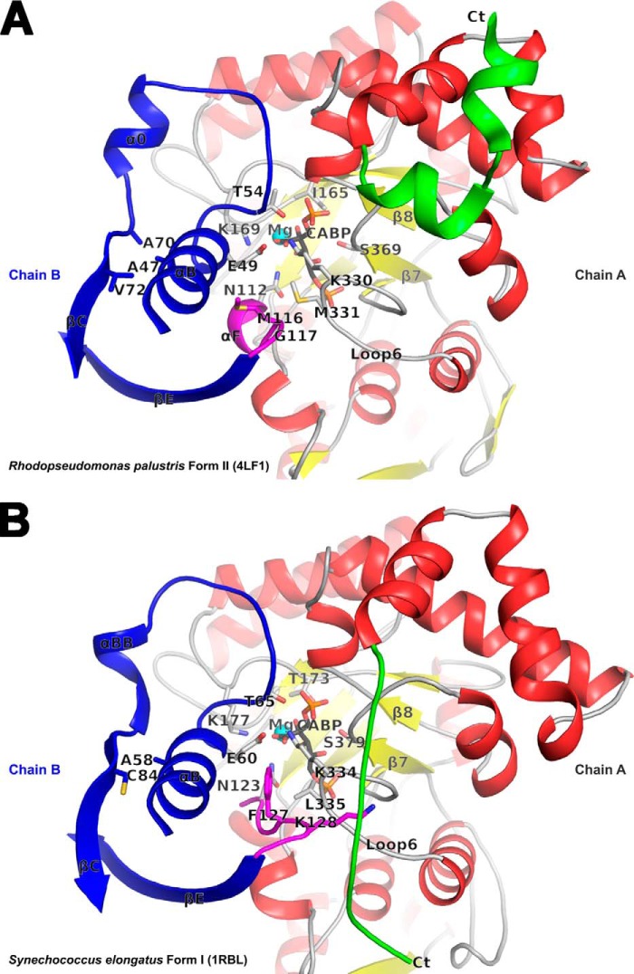 FIGURE 6.