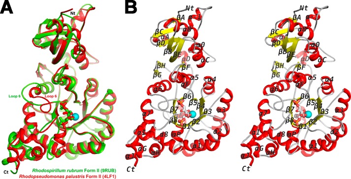 FIGURE 2.