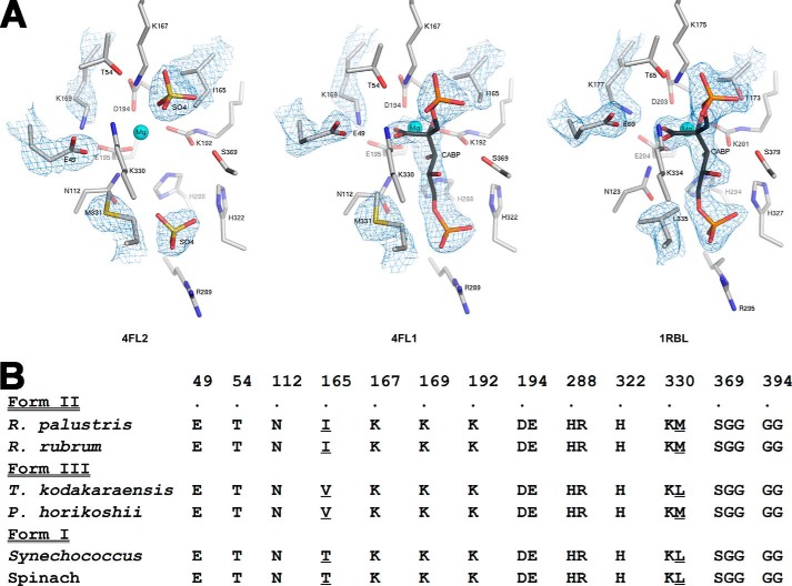 FIGURE 5.