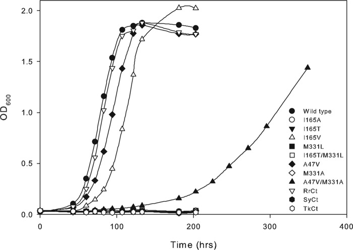 FIGURE 7.