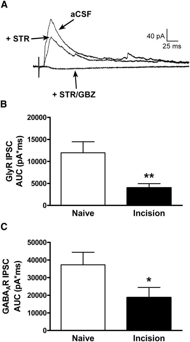 Figure 10.