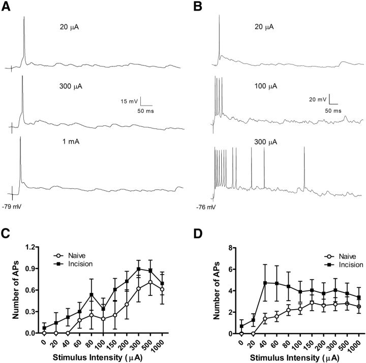 Figure 12.