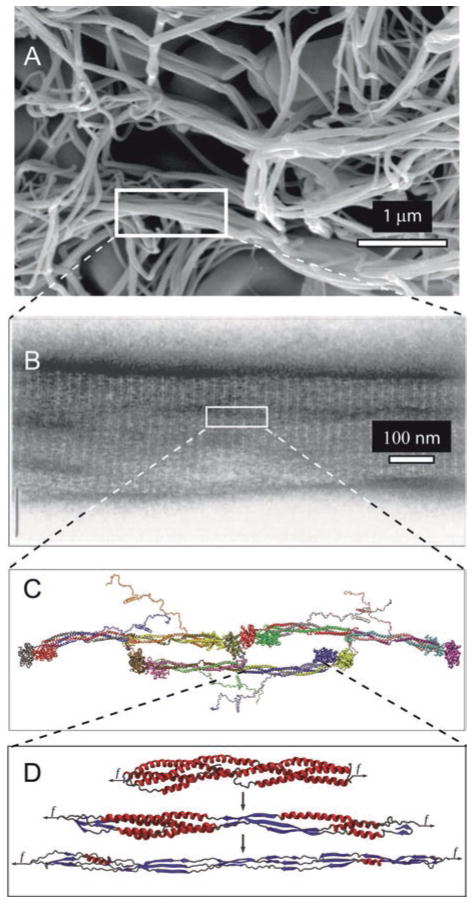 Fig. 13.10