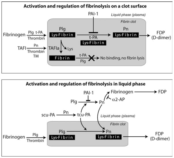 Fig. 13.11