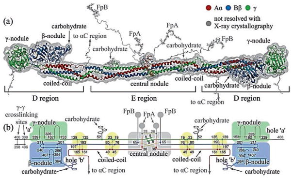 Fig. 13.2