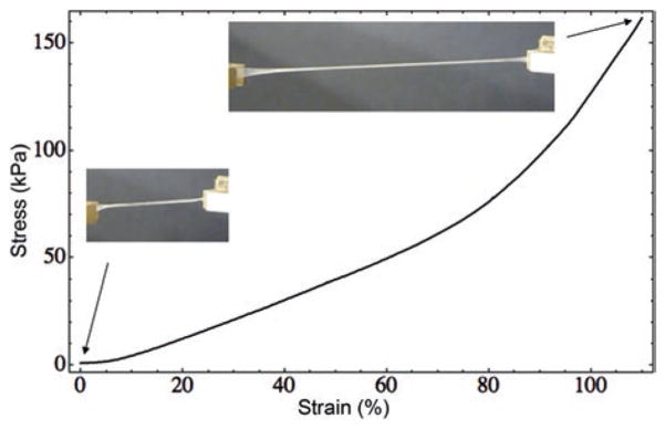 Fig. 13.8