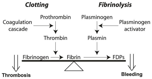 Fig. 13.1