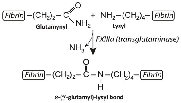 Fig. 13.7