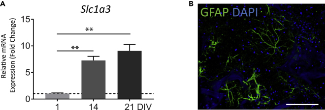 Figure 3