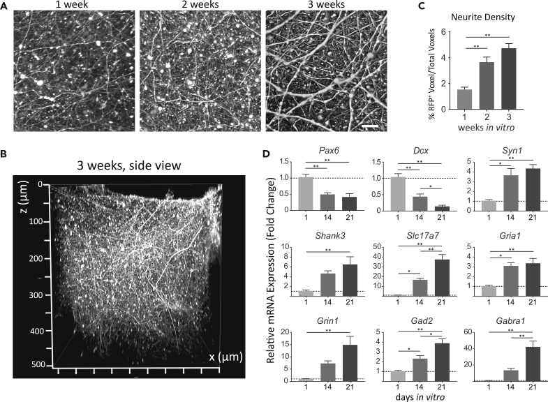 Figure 2