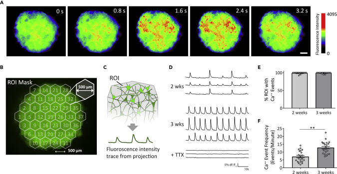 Figure 4